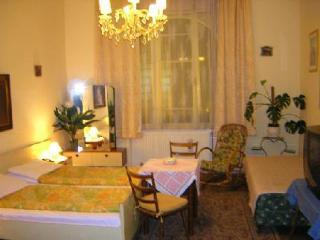 Mozart - Newly Renovated Pensjonat